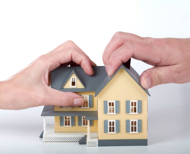 ����� ������ ���������� ���������